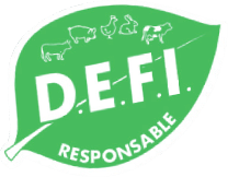 Défi Responsable